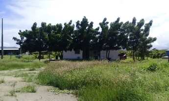 Imagem 5: Fabicação de tijolos