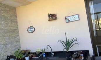 Imagem 2: São Paulo - Apartamento Padrão - Jabaquara