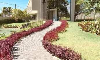 Imagem: Terreno à venda no bairro América - Joinville/SC