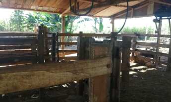 Imagem 5: 3.5 alqueires com benfeitorias em Itaquiraí