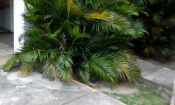 Imagem 5: Vendo apartamento com 3 quartos e 1 suíte na Madalena