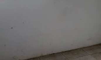 Imagem 2: Casa Benedito Bentes97mil avista !!!!125 financiada reformada