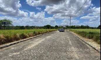 Imagem 3: LIMOEIRO - Casa Padrão - CAMPO GRANDE