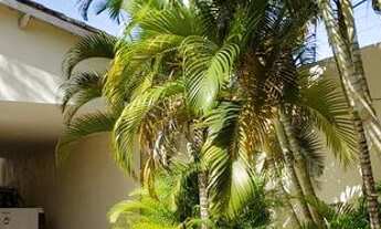 Imagem 3: Casa composta de 3 suites 1 master com spa em Vicente Pires