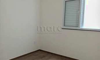 Imagem 6: SAO PAULO - Casa Padrão - VILA MONUMENTO