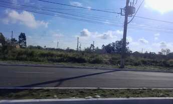 Imagem 4: Lote na beira da pista 600m2