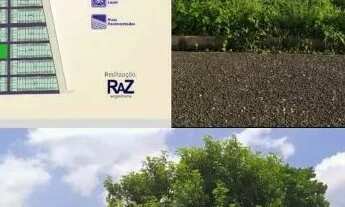 Imagem 2: Terreno em Timon/Ma