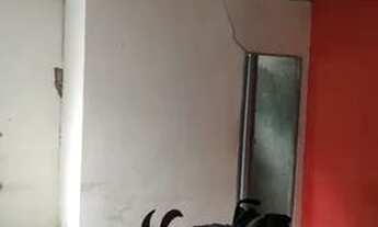 Imagem 6: Vende se Casa com 4 dormitórios