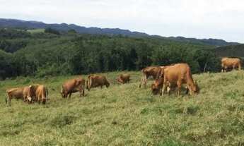 Imagem 5: Sorocaba Região Sitio 21,78 Hectares