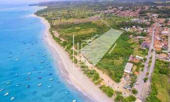 Imagem 6: Área de 30.000m² com 100 metros de frente para o mar em São Miguel dos Milagres-AL