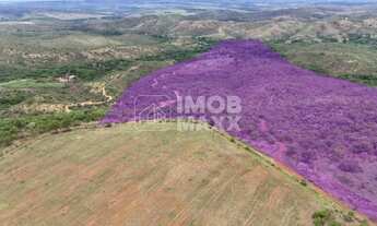 Imagem 5: Chácara a venda 35 hectares - Formada - Nascente e Poço Artesiano - Rural - Paranoá - DF