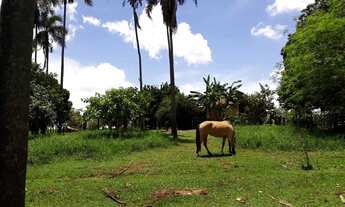 Imagem 4: Sítio próximo Uberlândia