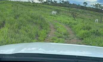 Imagem 7: Fazenda a venda em Campo Alegre de Goias