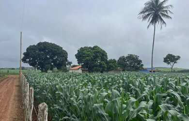 Imagem 4: Casa e terreno de 5,5 tarefas no Mulungu da Lagoa Preta