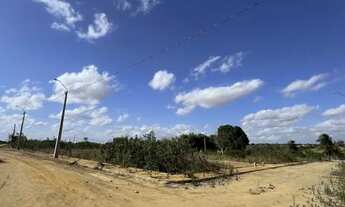 Imagem 5: Vendo Terreno no Povoado bálsamo - Arapiraca