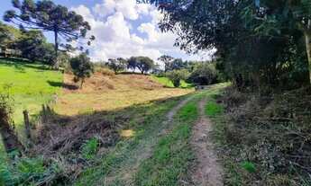 Imagem: Terreno Centro Carlos Barbosa