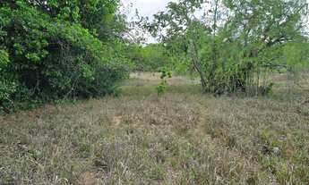 Imagem 5: Chácara de 2.000mt com corrego em crominia só 2km do asfalto ,10km da cidade ,Ótima lazer