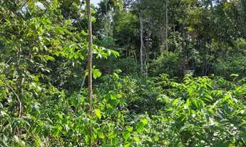 Imagem 7: Terreno em Iranduba a 20 min da ponte Rio Negro