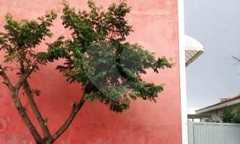 Imagem 7: Prédio inteiro à venda ou para locação em Vila Da Saúde - SP