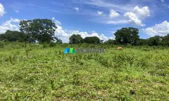 Imagem 6: FAZENDA À VENDA - 190 HECTARES - BURITIS (MG
