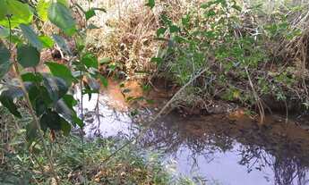 Imagem 6: Terreno rural em excelente localização!