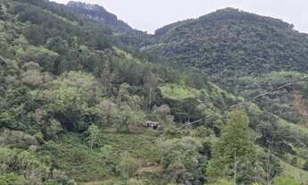 Imagem 4: Sítio / Chácara para Venda em Nova Petrópolis, Linha Pirajá Baixa, 2 dormitórios, 1 banhei