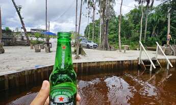 Imagem 15: Sitio Estrada Novo Airão km 44