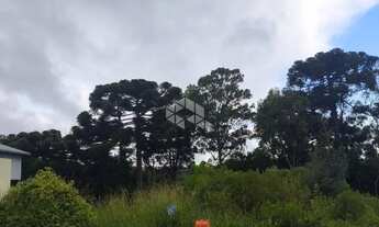 Imagem 4: Terreno localizado no Bairro Monte Verde Área de 603m2