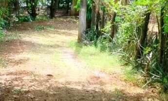 Imagem 5: Lote..Icém oportunidade