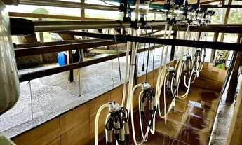 Imagem 7: Vendo chacara em Mairipotaba / Goiás