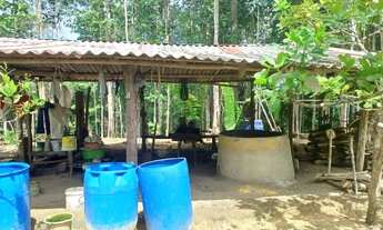 Imagem 7: Sítio no Rio Preto da Eva km 116 Am 010