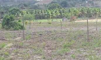 Imagem 5: Terreno no povoado coité