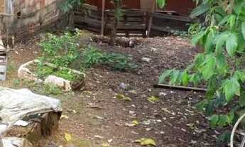 Imagem: Lote com barraco