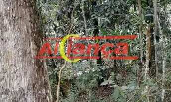 Imagem 3: TERRENO PERFEITO PRA CONSTRUIR!!!