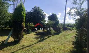 Imagem 5: Chácara em Rua Campestre - Colônia Murici - São José dos Pinhais/PR