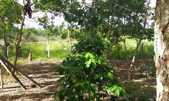 Imagem 2: Sitio porteira fechada de 20 hectares documentado e escriturado no município de