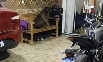 Imagem 6: Casa em Campo Grande garagem para dois carros três quartos suíte