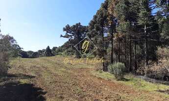 Imagem 6: TERRENO RURAL COM VISTA PRIVILEGIADA NO MUNÍCIPIO DE URUPEMA - SC
