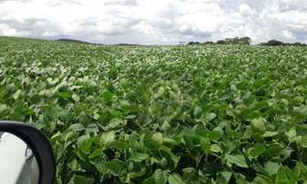 Imagem 2: Fazenda à venda, 1161600 m² - Centro - São Mateus do Sul/PR