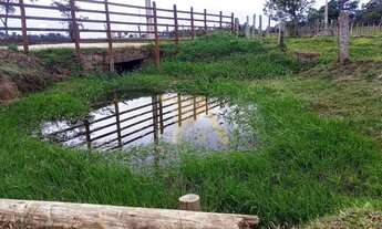 Imagem 7: Sitio 10.000m² à Venda