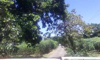 Imagem 10: Chácara no Recanto do Alá, Mirassol sp Aceita Troca até 350 mil