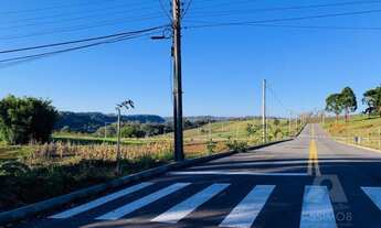 Imagem 2: BENTO GONçALVES - Terreno Padrão - São Valentin