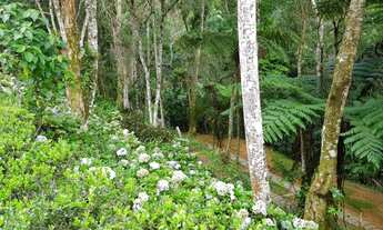 Imagem 4: Casa 4 Quartos (2 Suítes) condomínio em Mury