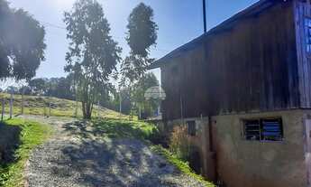 Imagem 4: Chácara Residencial para Venda no Roseira em Colombo, 4282.95m²