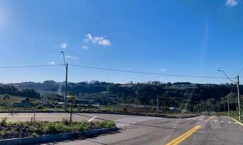 Imagem 4: BENTO GONçALVES - Terreno Padrão - São Valentin