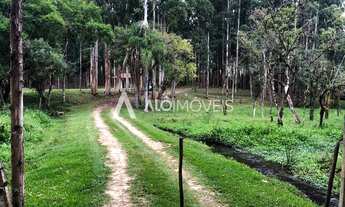 Imagem 4: Chácara à venda, 66.699,94 m² por R$ 800.000 - Colônia Matos - Mandirituba/PR