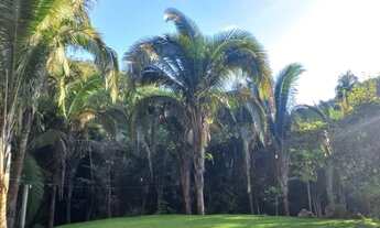 Imagem 5: Alugo uma chácara em Taquaruçu