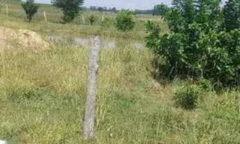 Imagem 3: Vendo terreno porangaba