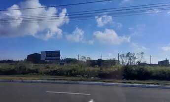 Imagem 3: Lote na beira da pista 600m2