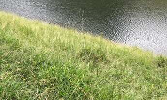 Imagem 6: Lote/Terreno dos sonhos em - Igaratá - SP